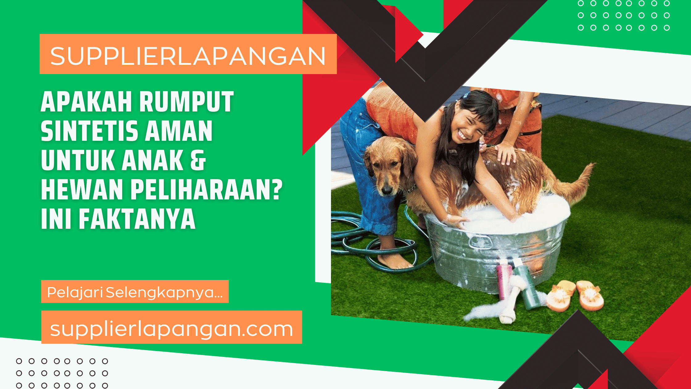 Apakah Rumput Sintetis Aman untuk Anak & Hewan Peliharaan Ini Faktanya