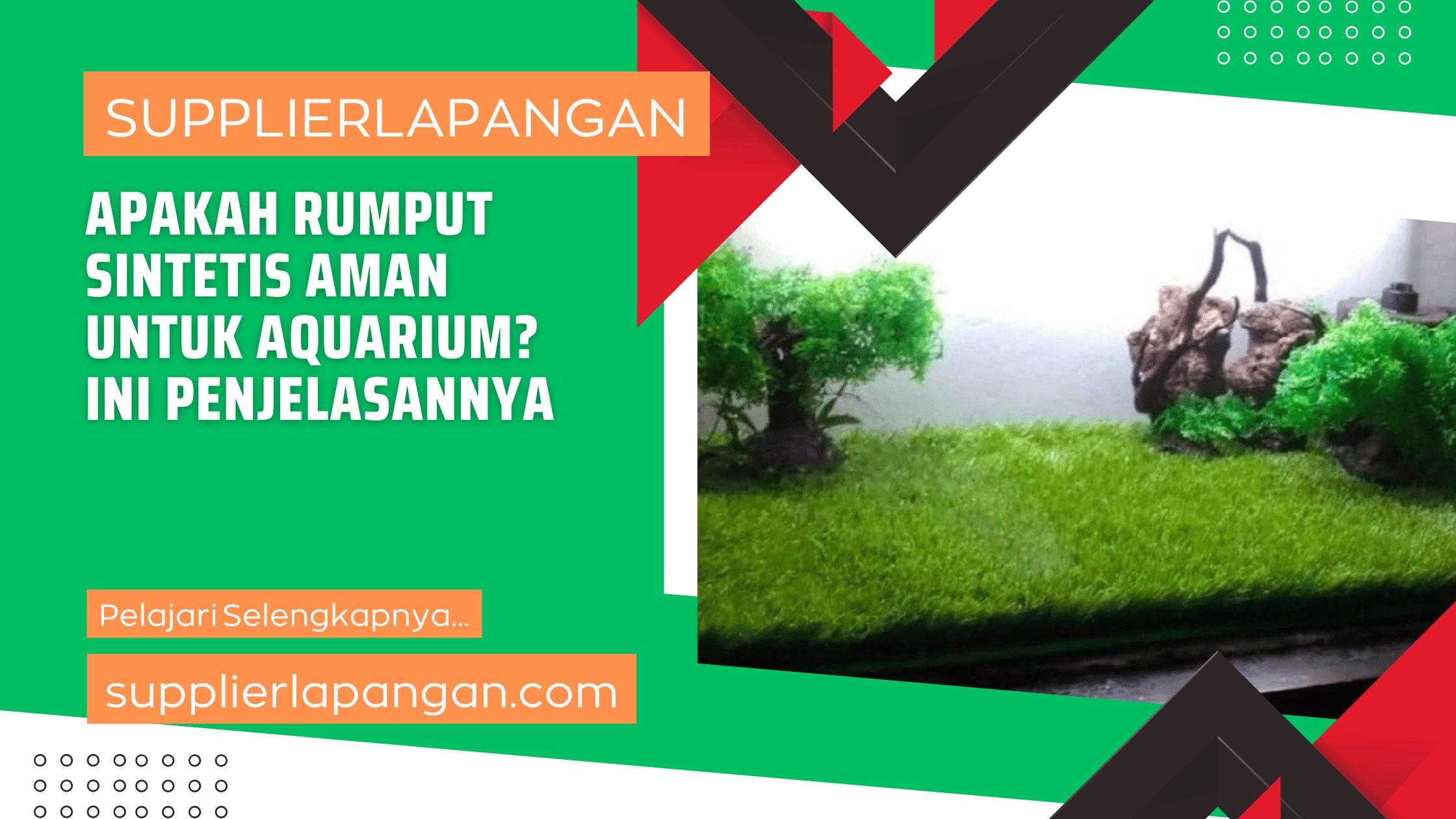 Apakah Rumput Sintetis Aman untuk Aquarium Ini Penjelasannya